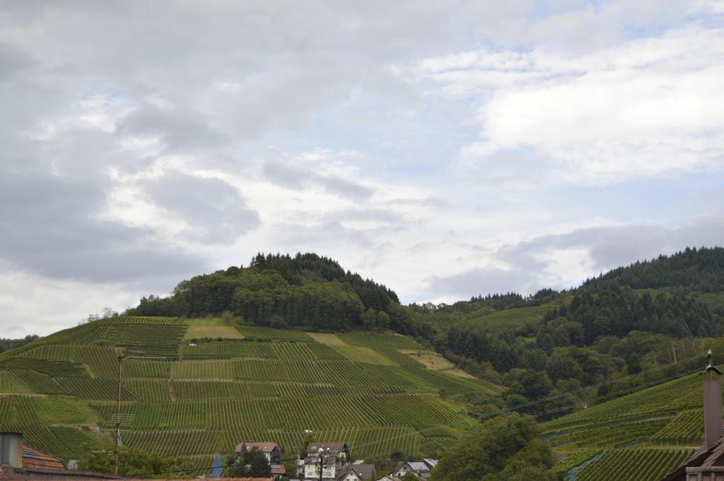Hotel Gasthaus Hirsch Kappelrodeck Zewnętrze zdjęcie